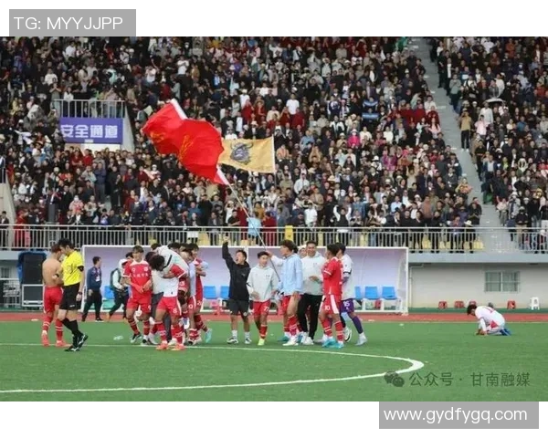 激情碰撞与梦想追逐奥运会足球赛的荣耀与挑战