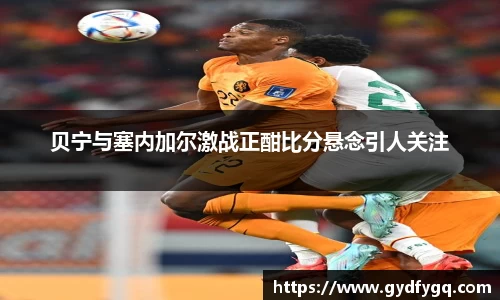 贝宁与塞内加尔激战正酣比分悬念引人关注